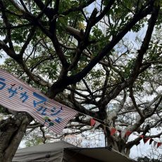 ありがとう、春のイベント ありがとう、春のイベント